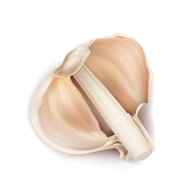 3d realistic illustration of garlic, half of bulb in peelings, isolated on background. 