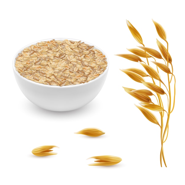 3d realistic oat ears, grains with white bowl. Detailed cereal plant