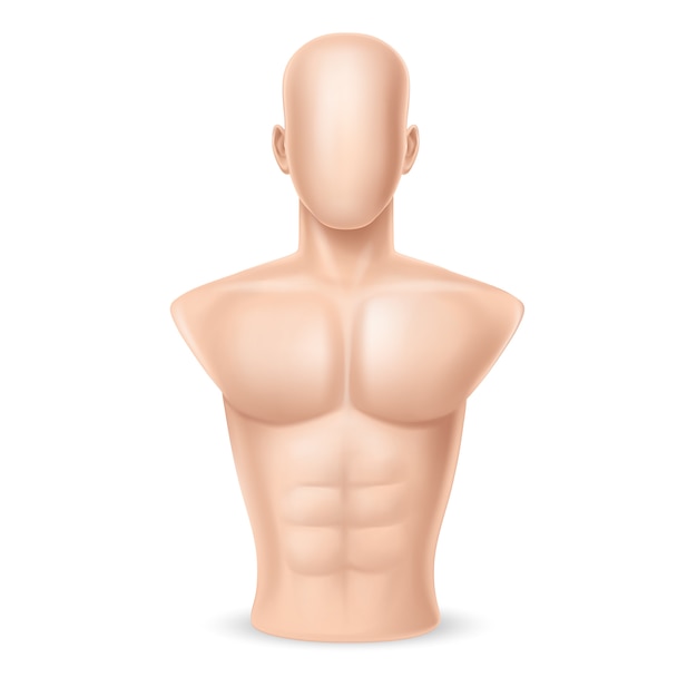 Free vector 3d realistic punching bag - human body