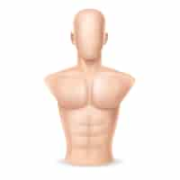 Free vector 3d realistic punching bag - human body