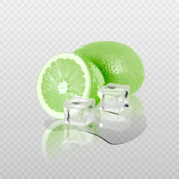 3d realistic transparent vector ice and lime cubes