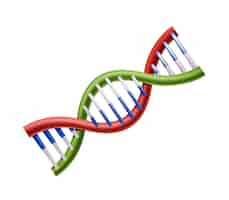 Free vector 3d realistic vector icon of dna.