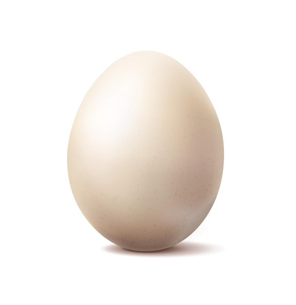 3d 현실적인 벡터 아이콘 그림입니다. 흰색 전체 유기농 닭고기 달걀. 흰색 배경에 고립