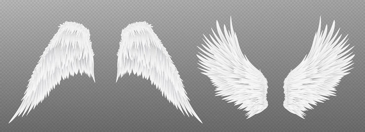 Free Vector 3d white realistic angel wing isolated vector