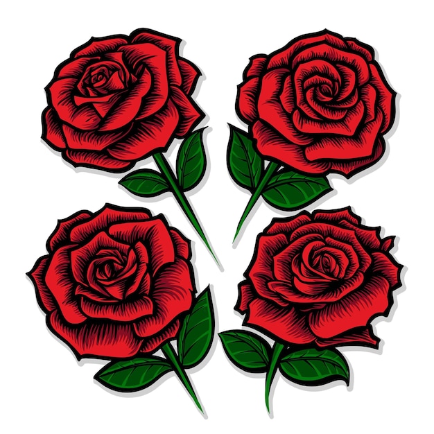 4 Red Roses Vector Illustration