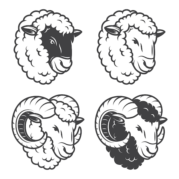  of 4 sheeps and rams heads. Monochrome, isolated on white background.