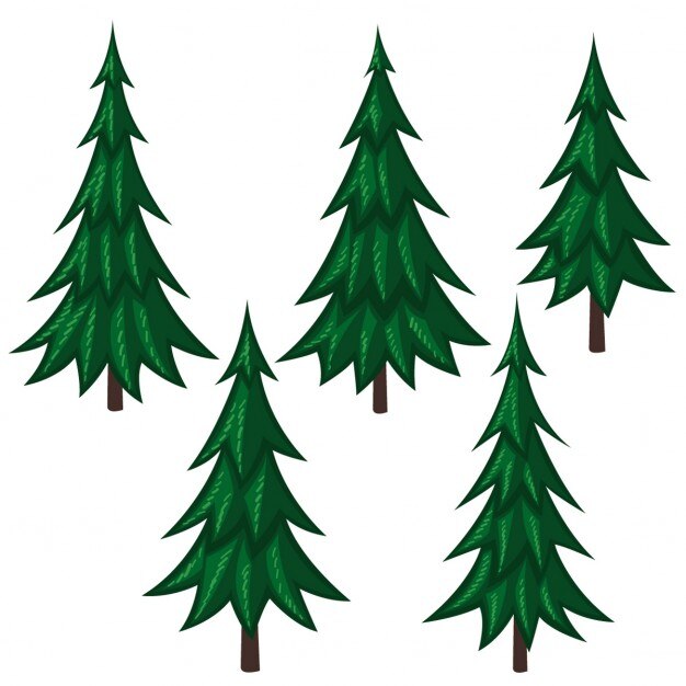 5 pine trees