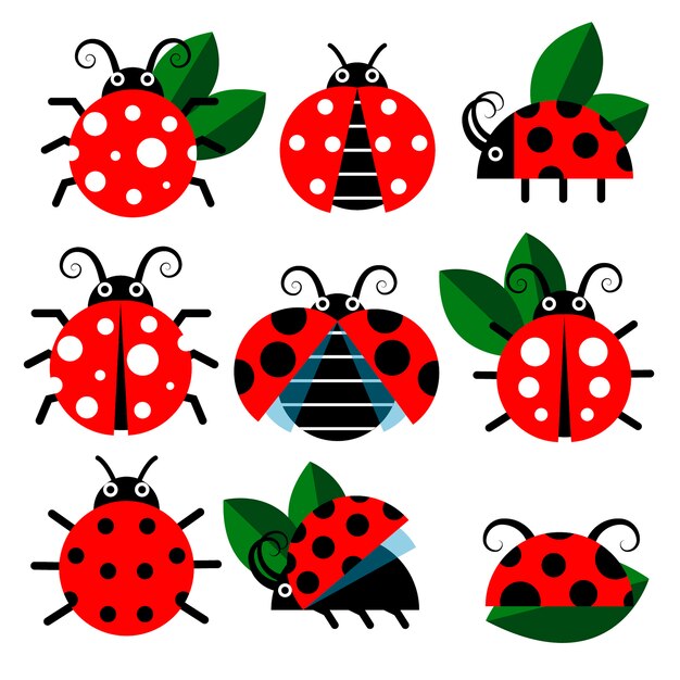 美しい花の画像 トップ100 てんとう虫 イラスト リアル