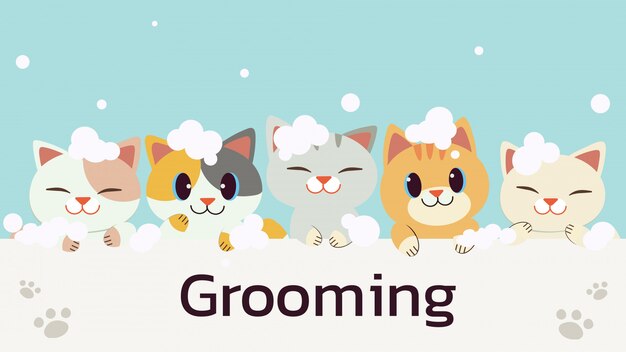 フラットスタイルのシャボン玉が可愛い猫のキャラクター 猫のグルーミングとヘルスケアについてのイラスト プレミアムベクター