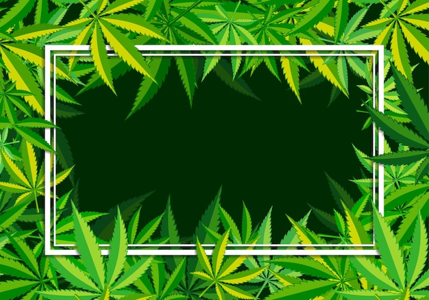 Ãƒâ ã‚â¡annabis или рамка листьев марихуаны. конопли для рекламы медицинских услуг, упаковки или печатной продукции. значок плоского стиля. векторная иллюстрация