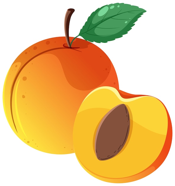 Бесплатное векторное изображение Полный персик и половина персика