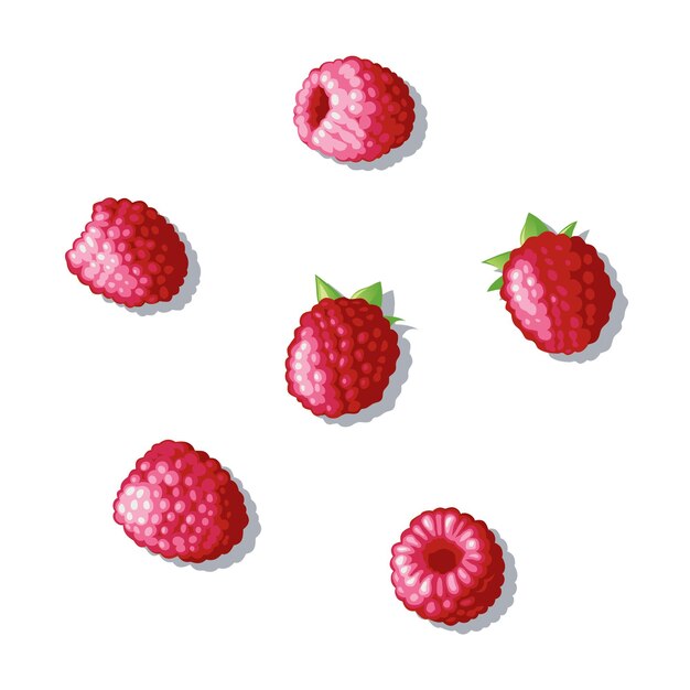 手描きのラズベリーフルーツイラスト 無料のベクター