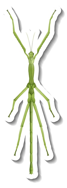 Бесплатное векторное изображение Шаблон наклейки с видом сверху изолированного насекомого-конькобежца для пруда