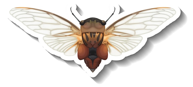 Шаблон стикера с видом сверху изолированной медоносной пчелы