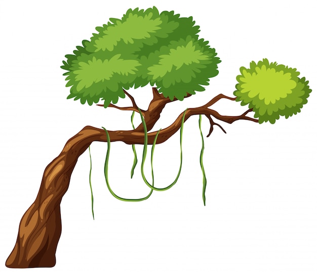 Бесплатное векторное изображение Ветвь дерева