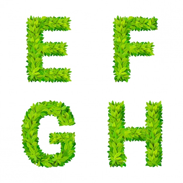 ABCの草の葉文字数要素現代の自然プラカードレタリング緑豊かな葉の落葉性セット。 EFGH葉の葉状葉状自然文字ラテン英語アルファベットフォントコレクション。