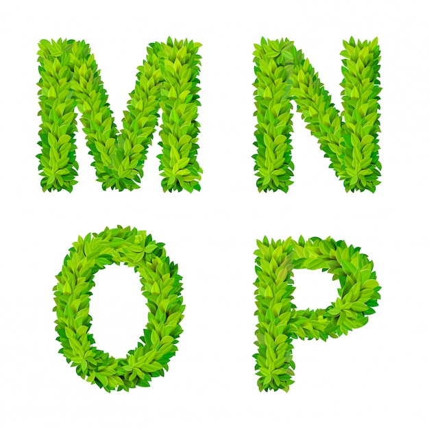 ABCの草の葉文字数要素現代の自然プラカードレタリング緑豊かな葉の落葉性セット。 MNOPリーフリーフの葉状の自然な文字ラテン英語のアルファベットフォントコレクション。