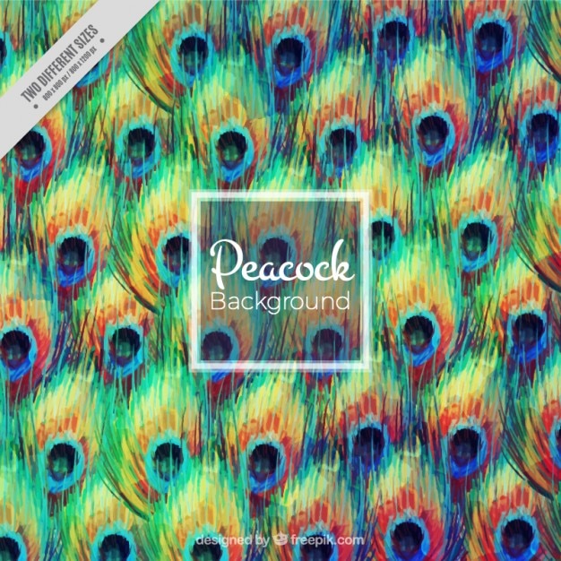 Abstract background of peacock