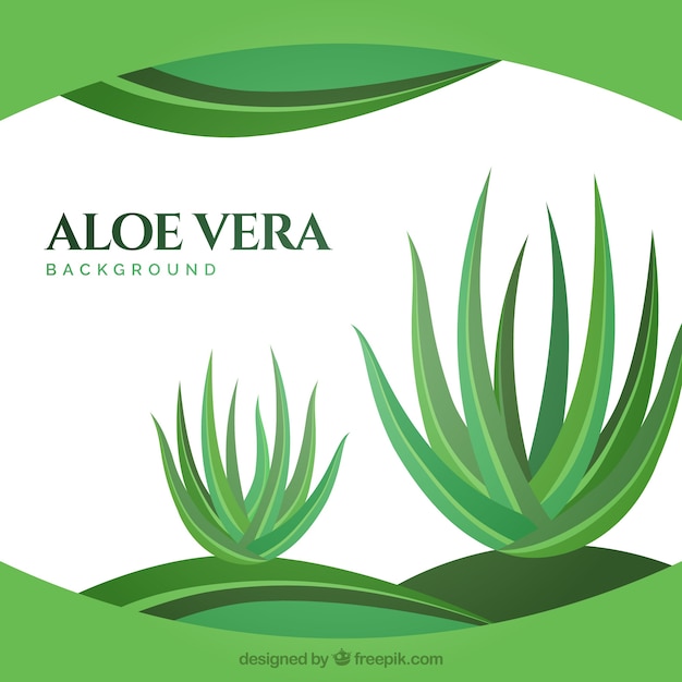 Free vector abstract background with aloe vera plants