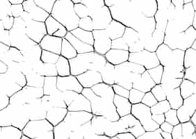 Free vector abstract background with a cracked grunge texture