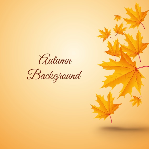 Abstract background with leaves