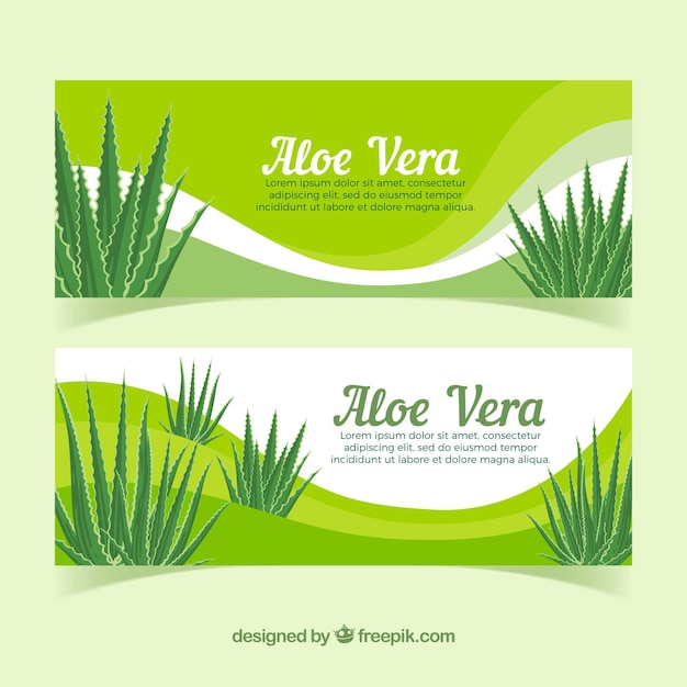 Vettore gratuito bandiere astratte con aloe vera