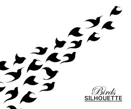 Bird silhouettes