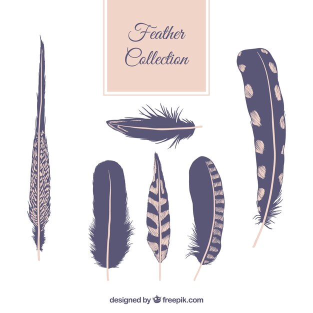 Abstract feathers collection