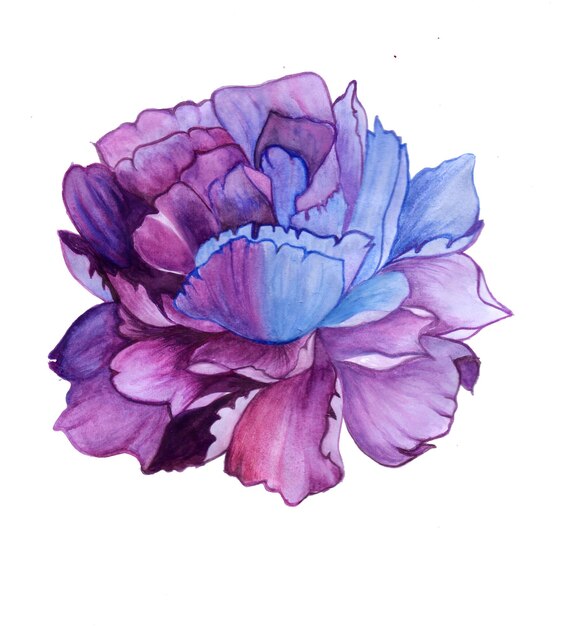 抽象的な花の要素青紫水彩背景イラスト高解像度無料写真