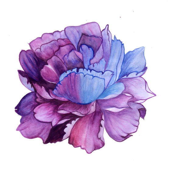 抽象的な花の要素青紫水彩背景イラスト高解像度無料写真