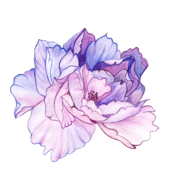 추상 꽃 요소 파란색 보라색 수채화 배경 그림 고해상도 무료 사진