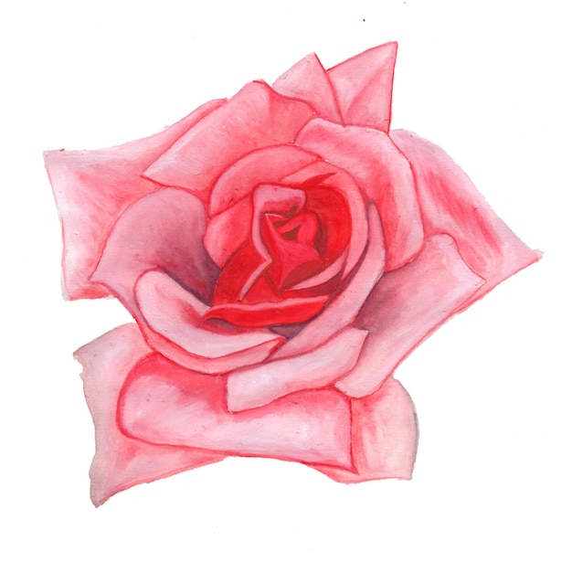 Vettore gratuito elemento astratto fiore rosa acquerello sfondo illustrazione ad alta risoluzione foto gratis