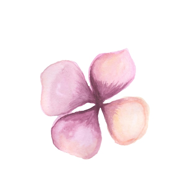 無料ベクター 抽象的な花の要素ピンクの水彩画の背景イラスト高解像度無料写真