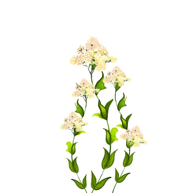 抽象的な花の花束グリーンベージュ水彩背景イラスト高解像度無料写真