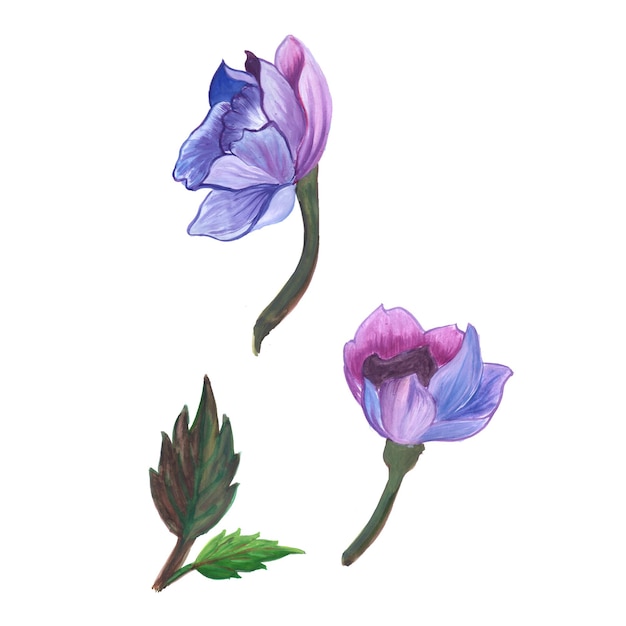 抽象的な花要素紫青緑水彩背景イラスト高解像度無料写真