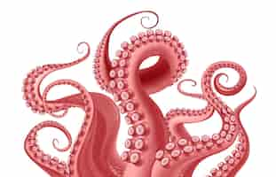 Free vector abstract fragment of red octopus with writhing tentacles with suckers at white background realistic vector illustration