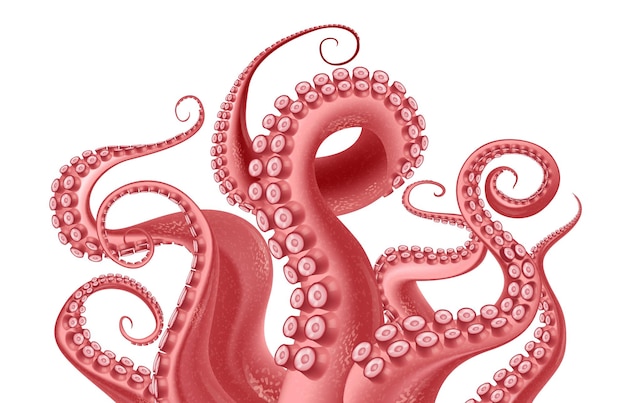 Abstract fragment of red octopus with writhing tentacles with suckers at white background realistic vector illustration