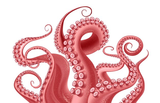 Абстрактный фрагмент красного осьминога с извивающимися щупальцами с присосками на белом фоне реалистичная векторная иллюстрация
