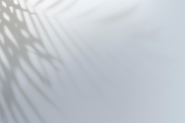 Абстрактный серый градиент фона вектор с тенью тропических листьев