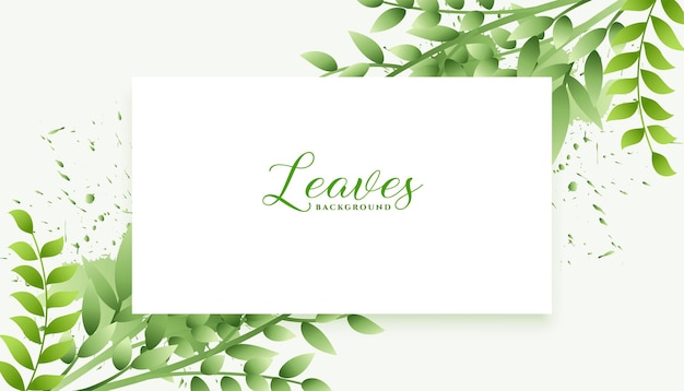 Free vector abstract green leaves background design