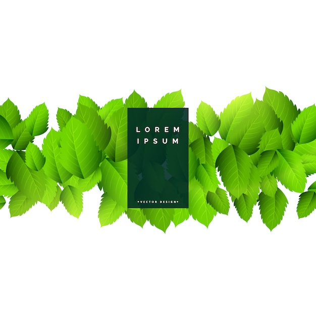 Бесплатное векторное изображение Абстрактные зеленые листья природа фон