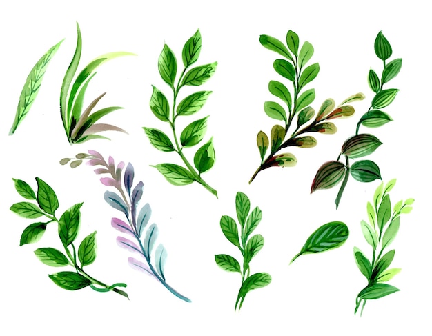 추상 녹색 수채화 잎 세트 디자인