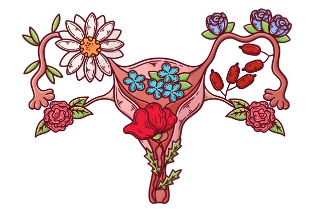 Abstract illustration of female reproductive system concept