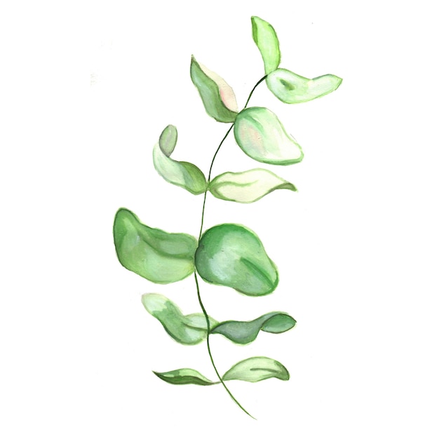 추상 잎 요소 녹색 수채화 배경 그림 고해상도 무료 사진