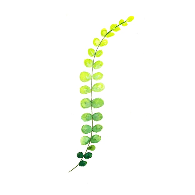 無料ベクター 抽象的な葉の要素緑の水彩画の背景イラスト高解像度無料写真