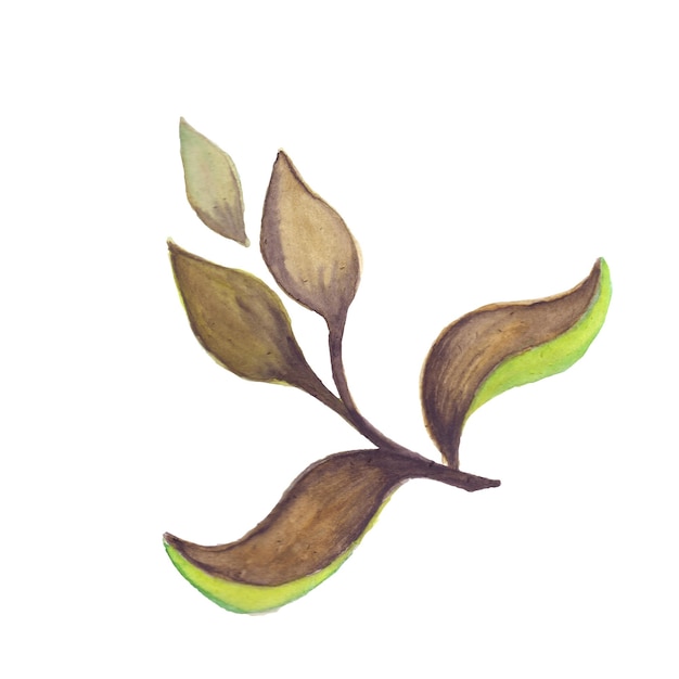 Abstract Leaf Element Green Yellow Brown Watercolor Background Illustration High Resolution Free Photo