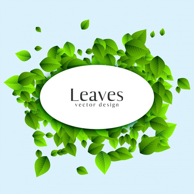 Abstract leaves background with text space