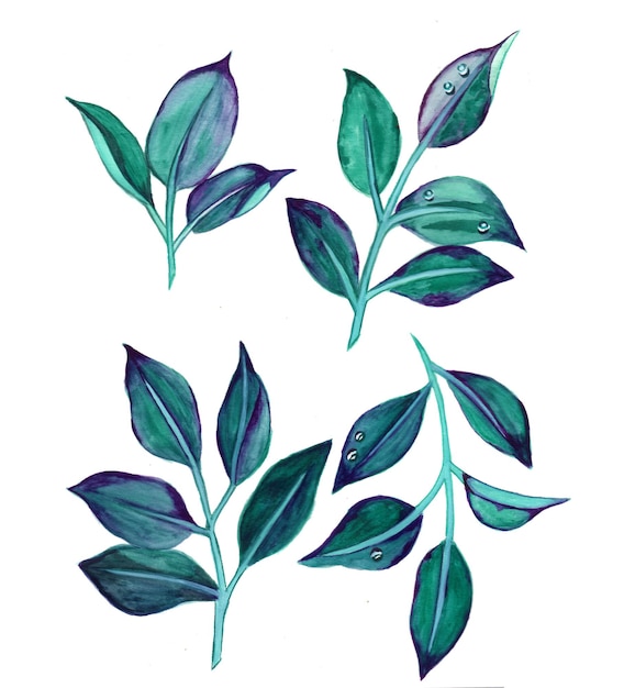 Абстрактные листья элемент зеленый синий акварельный фон иллюстрация высокое разрешение бесплатные фото