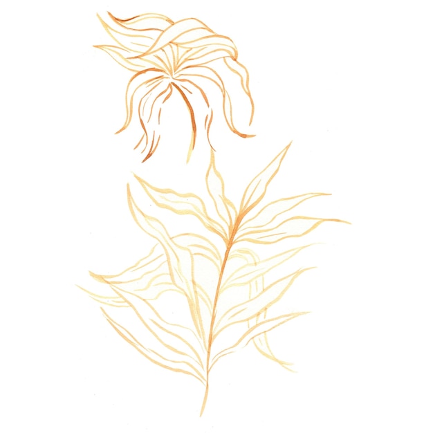 추상 나뭇잎 요소 노란색 수채화 배경 그림 고해상도 무료 사진