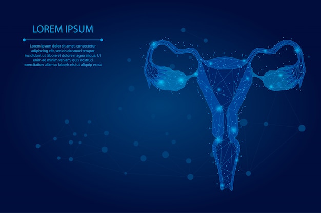 Abstract mesh line and point ovaries. low poly female reproductive organs uterus and ovaries health care.